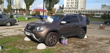 Наглый водитель нарвался на месть киевлян, фото: "Наказали любителя парковаться на зелёной зоне"