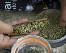 Легалізація марихуани позитивно впливає на розвиток США