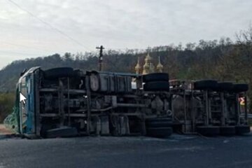 Фура с тоннами мяса  перевернулась на трассе Киев-Одесса: кадры масштабной аварии