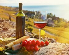 У Держдумі пропонують заборонити грузинське вино і воду
