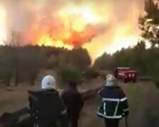 Пожежі в Україні знищили десятки гектарів землі: термінова заява рятувальників