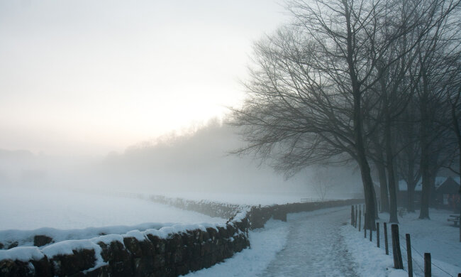 погода в Украине
