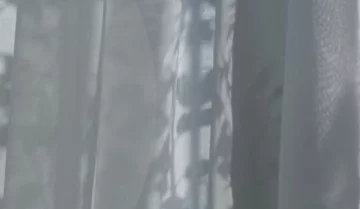 тюль