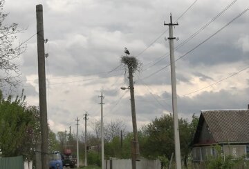 Графики отключения света в Днепропетровской области на 22 мая