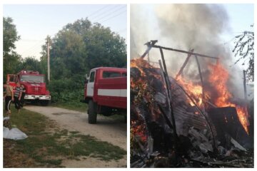 Спека викликала пожежу на Одещині, рятувальники не могли загасити: кадри НП