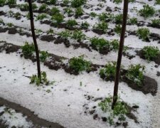 Погода в Україні остаточно злетіла з котушок, кучугури ростуть: фото травневого снігу