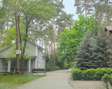 Хто розкупив відомчу базу у Конча-Заспі: експрокурор, колишні ТОПи митниці та їхні родичі, - розслідування
