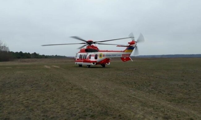 полиция, поиски