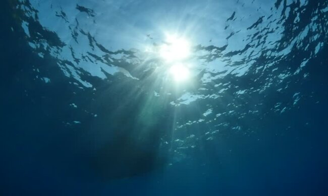 вода чудовище море