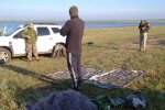 Понад 16 мільйонів гривень збитків: на Одещині затримали браконьєра просто в Нацпарку