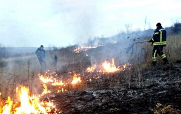 Масштабна пожежа розгорілася в Одеській області, фото: знищено 1,5 гектара