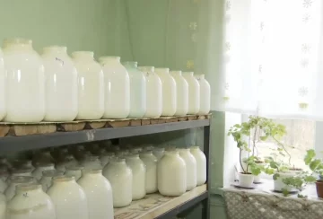Подорожчання молочних продуктів у Харкові