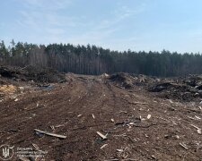 Шкода довкіллю на 1,6 мільйона: у Житомирській області лісова філія засмітила землю і має заплатити