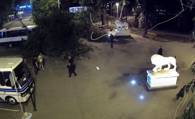 Дерево рухнуло на мужчину в центре Одессы: момент попал на видео