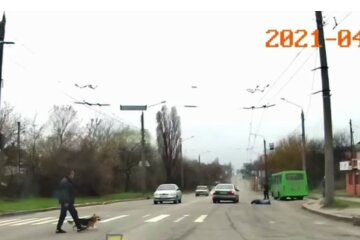 Бежал на маршрутку: харьковчанин попал под колеса на переходе, момент зафиксировала камера