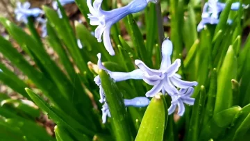 Прогноз погоди з 4 по 10 березня у Запоріжжі