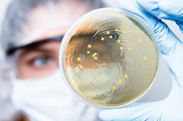 бактерии, инфекции, болезни