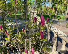 Прогноз погоды с 6 по 15 марта в Харькове.