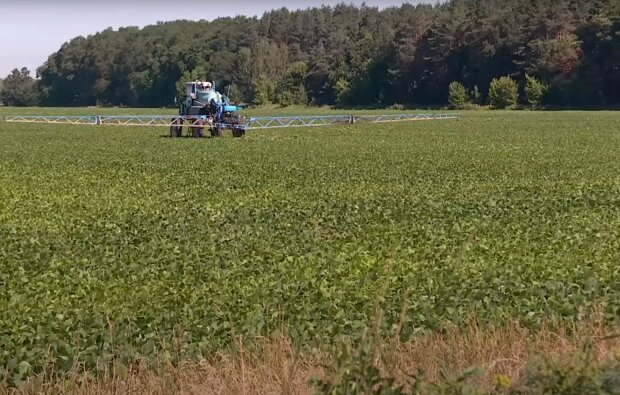 Українців, які мають земельні паї, обклали новим податком