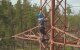 Графіки відключення світла у Полтавській області на 14 червня
