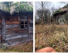 Осталось без людей: жуткие фото исчезнувшего села на Киевщине показали в сети