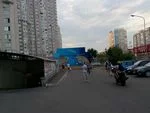 704815_tn