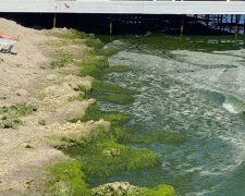 На одесских пляжах обнаружена опасная инфекция: "Употребление воды может привести к..."