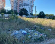 Жителі Чорноморська перетворили околицю міста на смітник, фото: "мільйона буде мало"