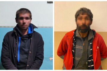 Негідники напали на пенсіонерку на вулиці