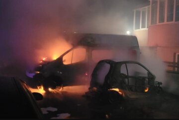 Под Киевом на стоянке пожар уничтожил автомобили: кадры с места события
