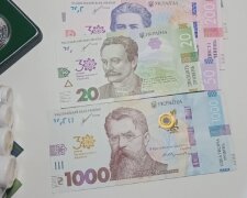 Денежная помощь для пенсионеров в Николаевской области