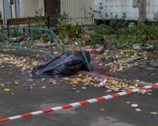 Труп жінки знайшли на паркані: страшна трагедія сколихнула Дніпро, кадри з місця
