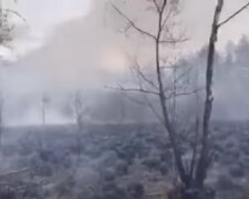 Вогняна катастрофа під Києвом набирає обертів, небо затягло димом: нові кадри НП