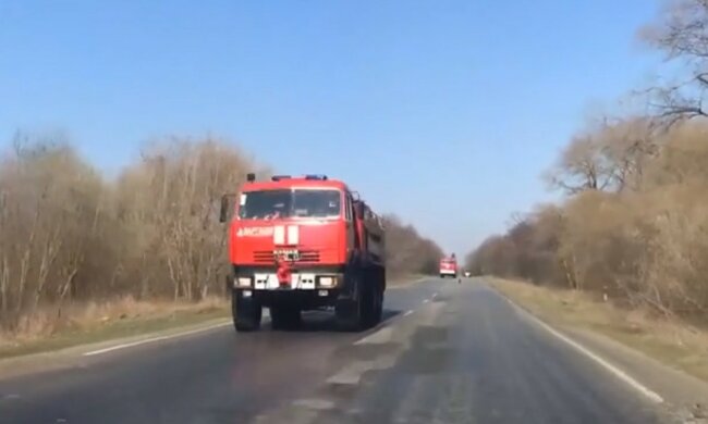 Лісова пожежа наблизилася до Чорнобильської АЕС: тривожні кадри злили в мережу