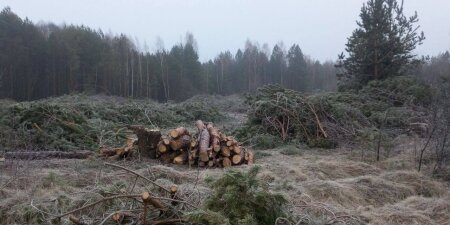 Госэкоинспекция