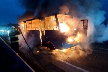 Пассажирский автобус загорелся во время движения: кадры ЧП на Закарпатье