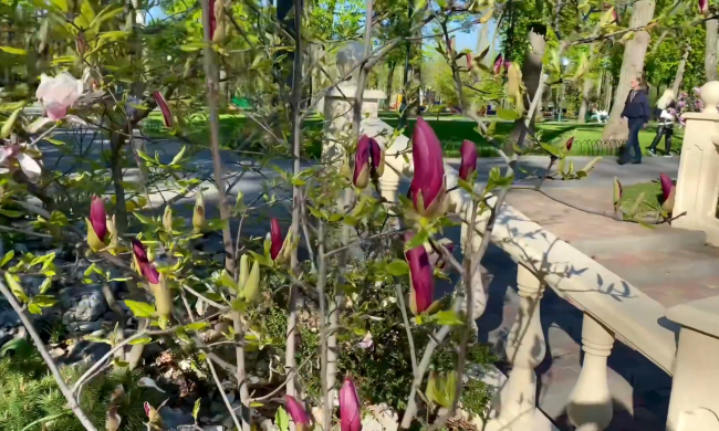 Прогноз погоди з 6 по 15 березня в Харкові