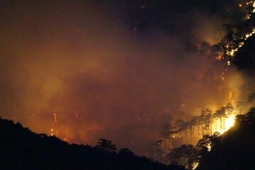 пожар массандра