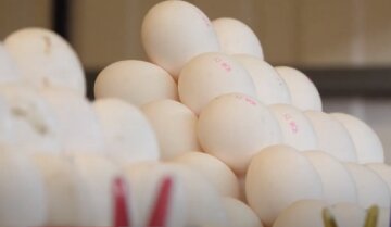 Пік цін на яйця ще попереду: скільки коштуватиме десяток у найближчому майбутньому