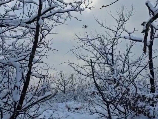  ������� ������� ���������� ������� ������� ������ ������� ��� 