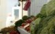 Подорожчання продуктів у Харкові