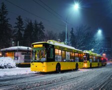 Троллейбус с заснеженным салоном ошарашил киевлян (фото)