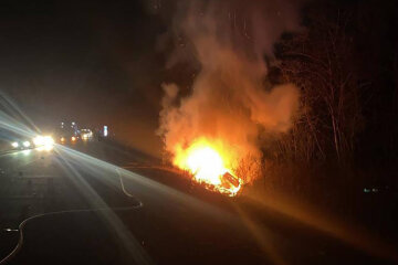 Кадры жуткого ДТП с фурой под Кривым Рогом: жизнь водителя унес огонь