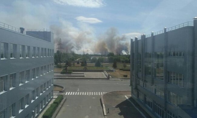 Це не підпал сухої трави: що насправді відбулося в Чорнобильській зоні