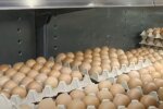 Подорожчання яєць в Харківській області