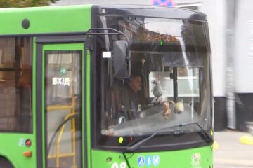 Подорожание стоимости проезда в Житомирской области