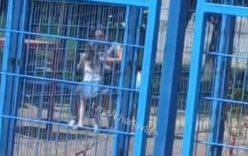 "Видим это каждый день": в Харькове женщина избивала ребенка, никто не вмешался, видео