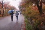 осень, люди, погода, дождь