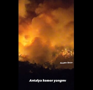Пожар, огонь, пламя  в Турции