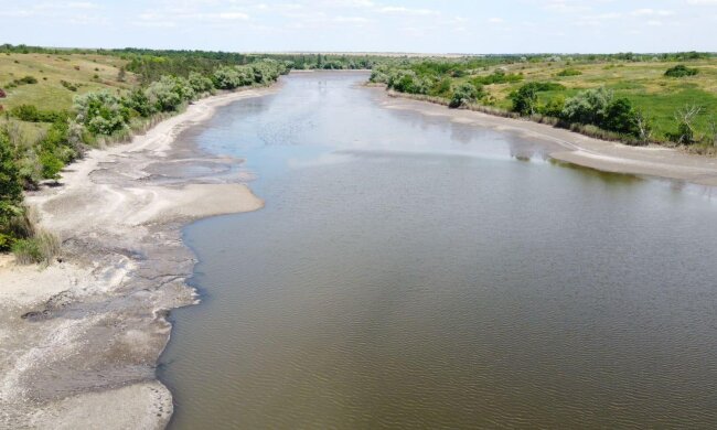 Підрив Каховської ГЕС: вода стала отрутою, а дельфіни – жертвами